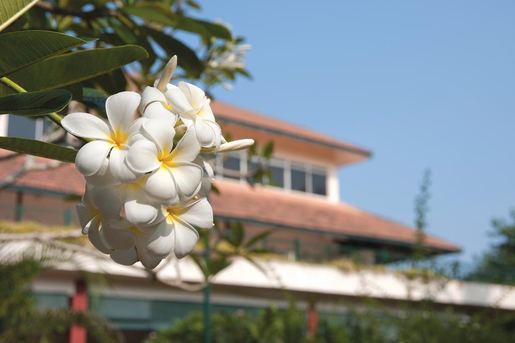 Отель The Qamar Paka, Terengganu Экстерьер фото
