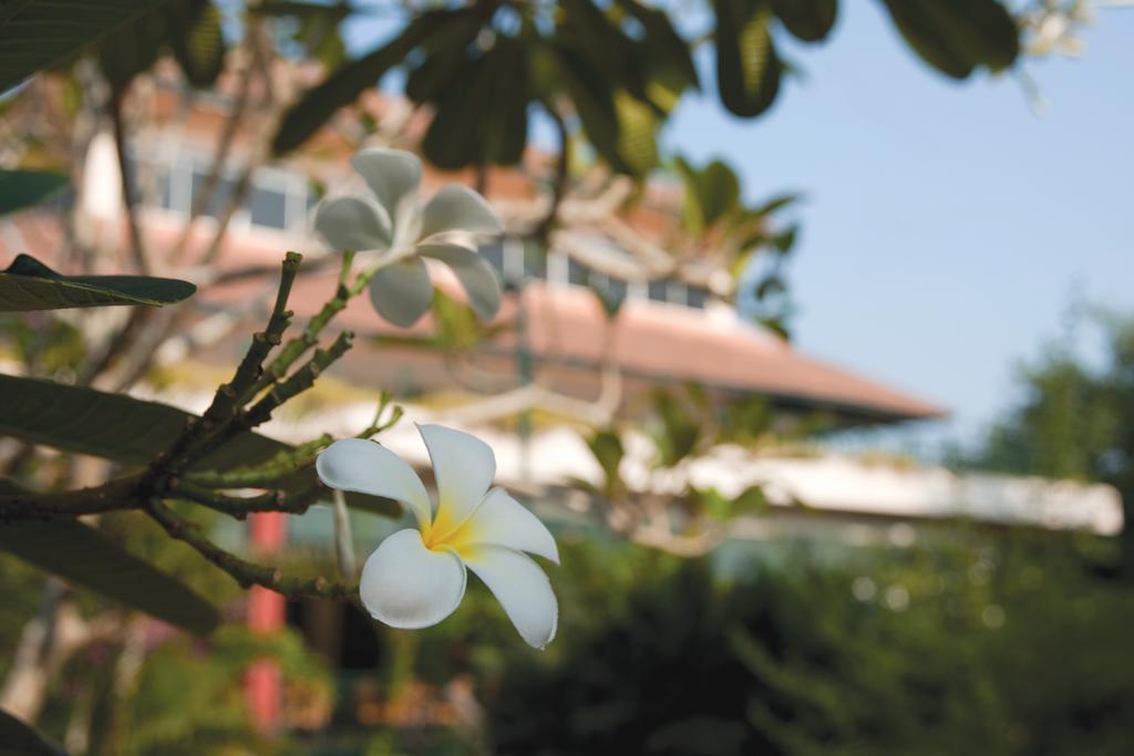 Отель The Qamar Paka, Terengganu Экстерьер фото